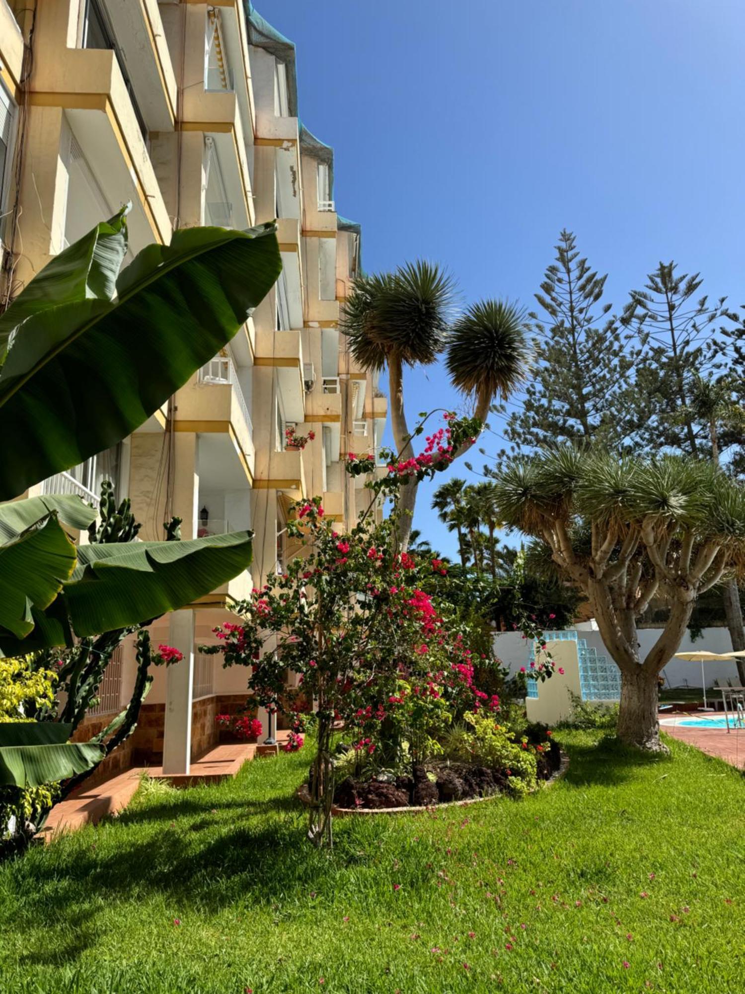 Apartamento reformado en Playa del Inglés San Bartolomé Extérieur photo
